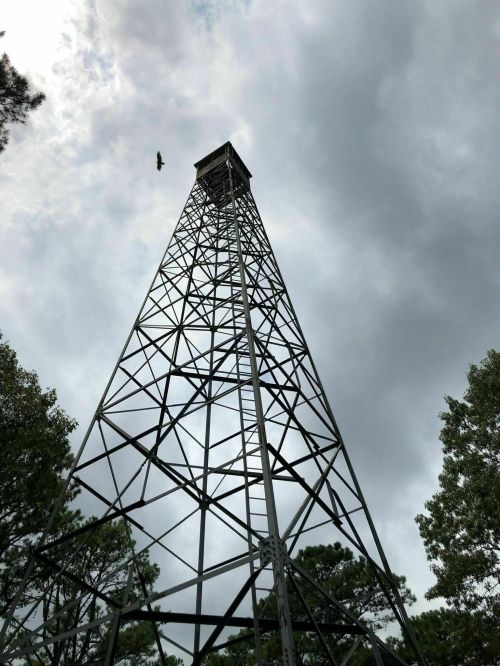A tall metal tower stands against a cloudy sky, with a bird flying above it amidst surrounding trees.
