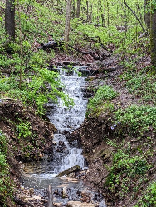 A small waterfall cascades down a rocky slope, surrounded by lush green foliage and trees in a serene forest setting.