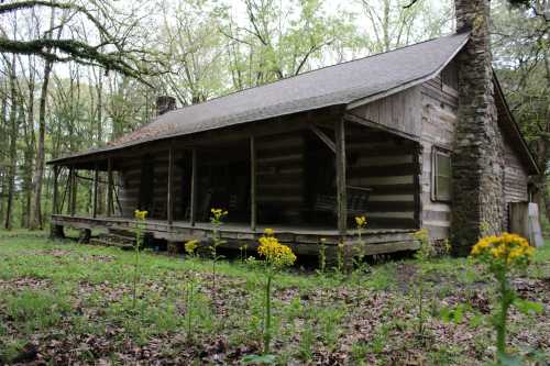 A rustic log cabin surrounded by trees and wildflowers, with a stone chimney and a porch.