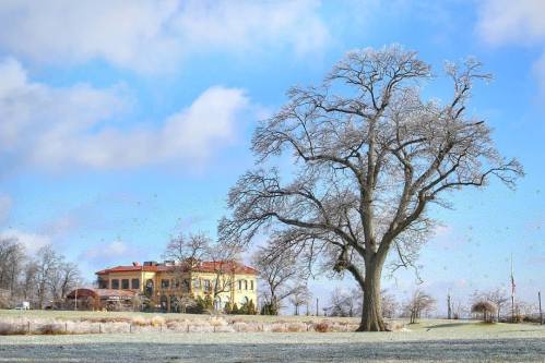 A large tree stands beside a historic building, with a clear blue sky and frost covering the ground.