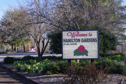 Sign welcoming visitors to Hamilton Gardens at Lake Chatuge, surrounded by trees and blooming daffodils.