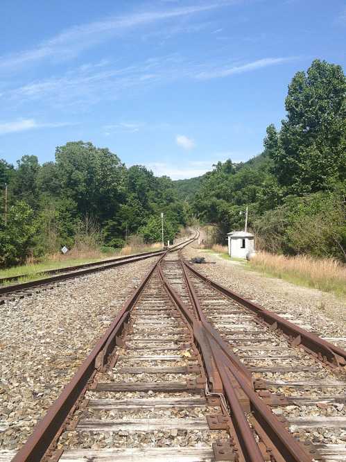 A view of railway tracks curving through a green landscape under a clear blue sky.