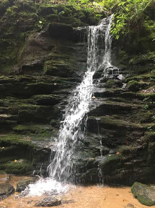 A small waterfall cascading over moss-covered rocks in a lush, green forest.