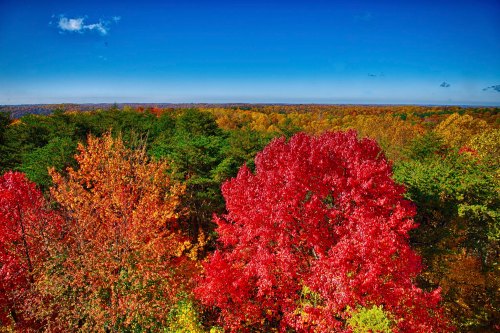 Vibrant autumn landscape with red and orange trees against a clear blue sky.