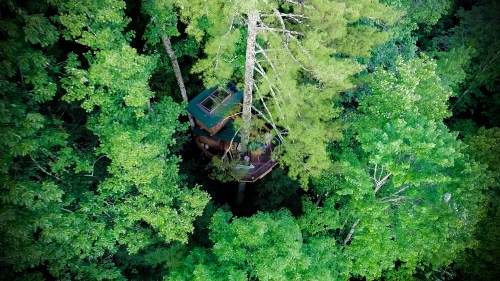 Aerial view of a treehouse nestled among lush green trees in a dense forest.