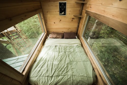 Cozy wooden bedroom with large windows overlooking trees, featuring a green blanket and two pillows on the bed.