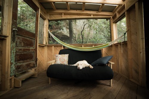 A cozy wooden cabin interior with a black sofa, colorful pillows, and a relaxed dog lying on the couch.