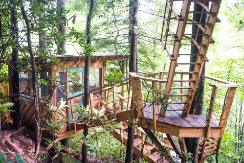 A wooden treehouse nestled among trees, featuring a spiral staircase and large windows for a scenic view.