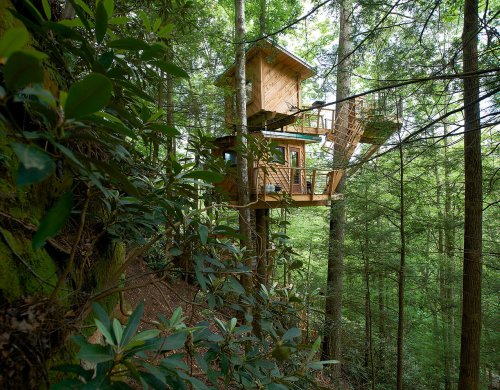 A wooden treehouse nestled among lush green trees, featuring multiple levels and a staircase.
