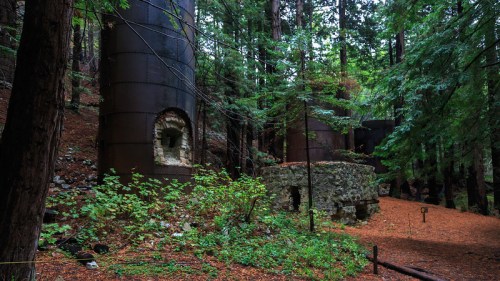 Ruins of industrial structures surrounded by tall trees and forest undergrowth, with a path covered in fallen leaves.