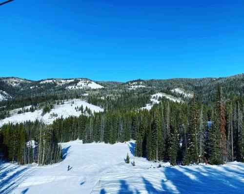 A snowy landscape with evergreen trees and distant mountains under a clear blue sky.