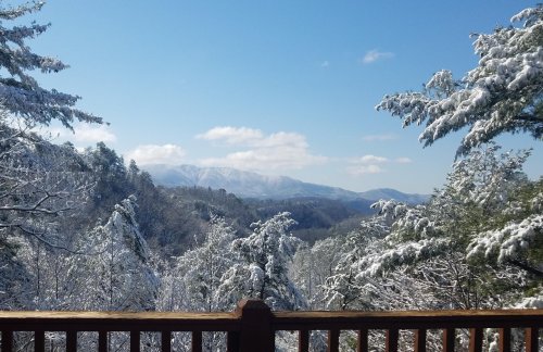 A snowy landscape with trees and mountains under a clear blue sky, viewed from a wooden railing.
