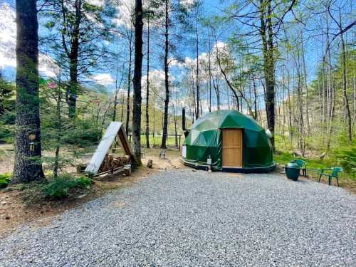 A green geodesic dome nestled in a forest, surrounded by trees and gravel, with a wooden structure nearby.