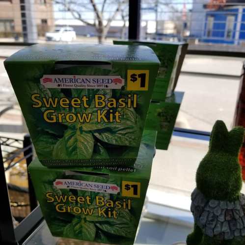 Three boxes of "Sweet Basil Grow Kit" displayed in a store, each priced at $1. Bright green packaging.