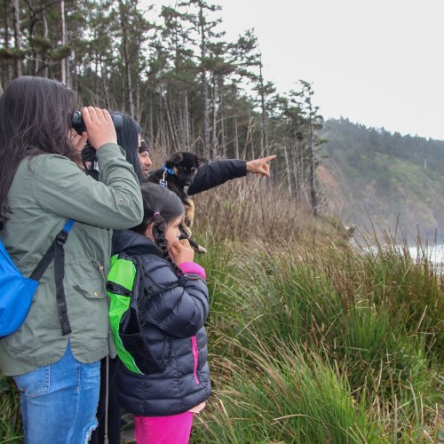 A group of people, including children, observing nature with binoculars near a coastal area, surrounded by trees.