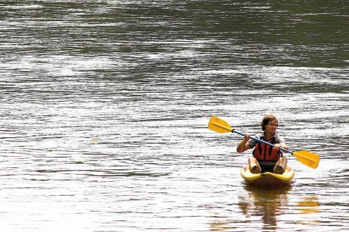 A person paddles a yellow kayak on a calm river, surrounded by lush greenery.