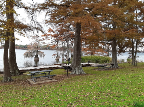 A serene lakeside scene with cypress trees, picnic tables, and autumn foliage reflecting on the water.