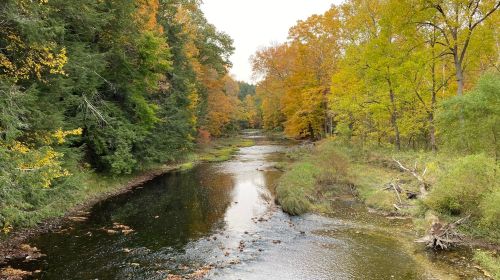 A serene river flows through a forest with vibrant autumn foliage in shades of yellow, orange, and green.