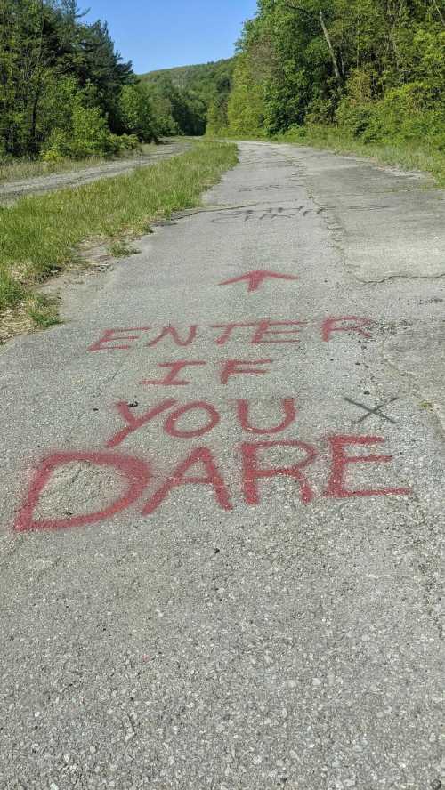 A weathered road with graffiti reading "ENTER IF YOU DARE" and an arrow pointing forward, surrounded by greenery.