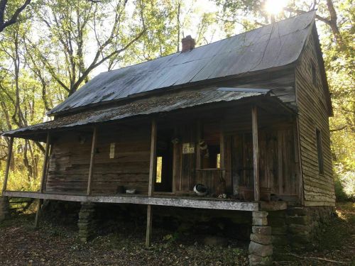 A rustic wooden cabin with a slanted roof, surrounded by trees and dappled sunlight.