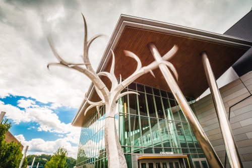Modern building with large glass windows and a unique tree sculpture in front, under a cloudy sky.