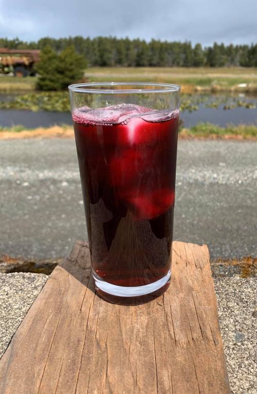 A glass of dark red beverage sits on a wooden surface, with a scenic view of greenery and water in the background.
