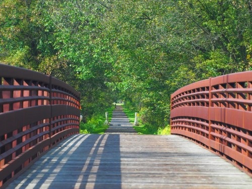 A wooden bridge leads into a lush, green pathway surrounded by trees on both sides.
