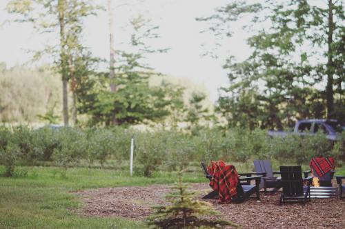 Cozy outdoor seating area with plaid blankets, surrounded by trees and a fire pit in a serene natural setting.