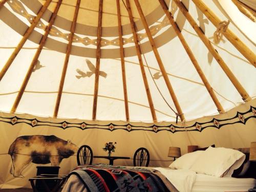 Interior of a cozy tipi with a bed, table, and decorative bear and bird silhouettes on the walls.