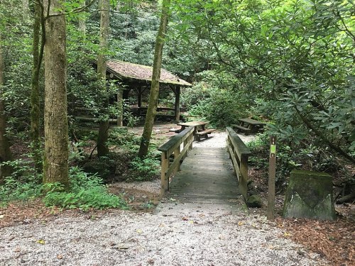 A wooden bridge leads to a picnic area surrounded by lush greenery and trees in a serene forest setting.