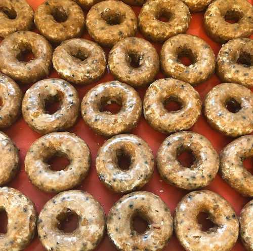 A close-up of freshly baked donuts arranged in a grid, featuring a golden-brown glaze and a sprinkle of black sesame seeds.