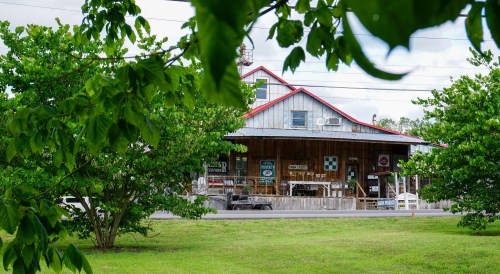 A rustic building with a red roof, surrounded by greenery and vintage signs, set against a clear sky.
