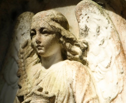 Close-up of a weathered angel statue with detailed wings and a serene expression, partially covered in moss.