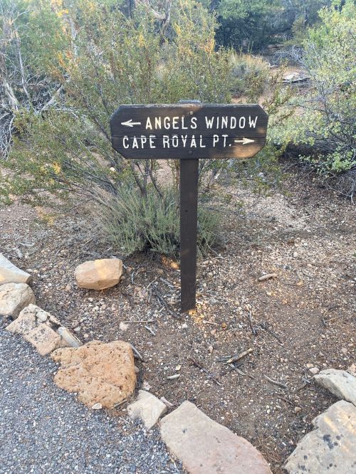 Wooden sign pointing to "Angels Window" and "Cape Royal Pt." surrounded by desert vegetation.