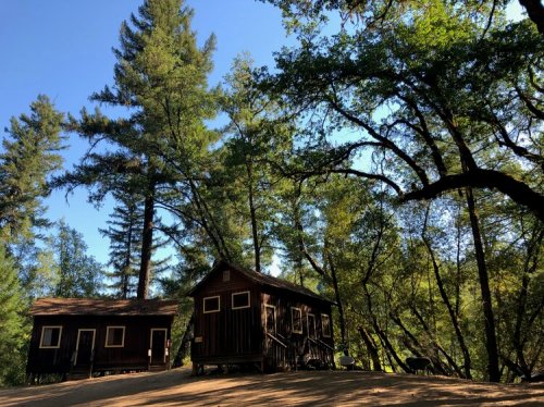 Two rustic wooden cabins surrounded by tall trees and a clear blue sky.