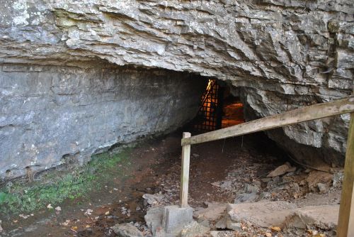 A rocky cave entrance with a wooden railing and a barred gate, leading into a dimly lit interior.
