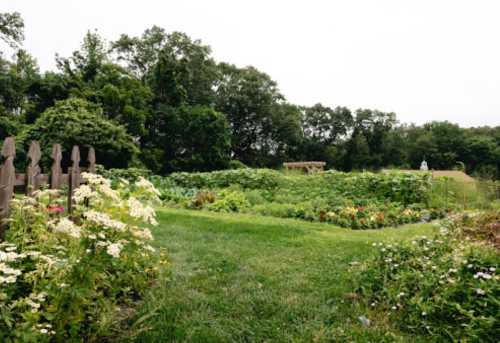 A lush garden with vibrant flowers and vegetables, surrounded by greenery and trees under a cloudy sky.