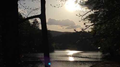 Silhouette of trees by a tranquil lake at sunset, with clouds and mountains in the background.