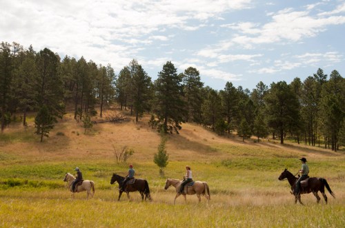 Four people on horseback ride through a grassy field with trees and hills under a partly cloudy sky.