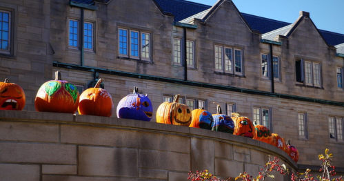 A row of creatively painted pumpkins on a stone wall, with a historic building in the background.
