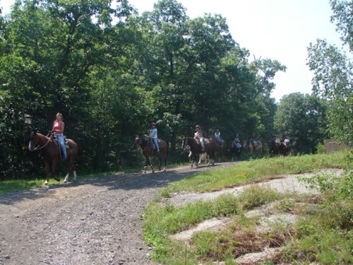 A group of people riding horses along a gravel path surrounded by trees on a sunny day.
