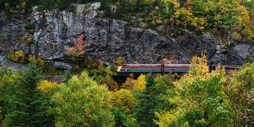 A train travels along a rocky landscape surrounded by vibrant autumn foliage.