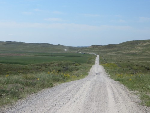 A gravel road stretches into the distance, flanked by green fields and rolling hills under a clear blue sky.
