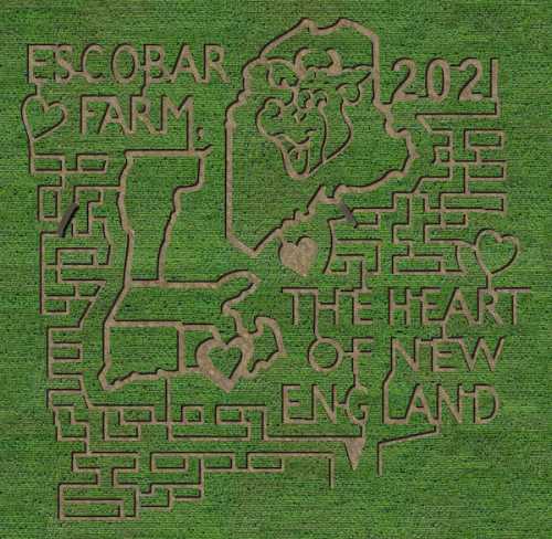 Aerial view of a corn maze featuring "Escobar Farm 2021" and a heart design, set in a green field.