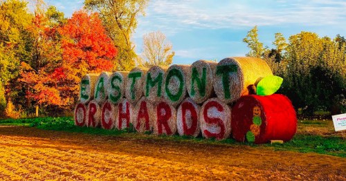 Colorful hay bales spell "Eastmont Orchards" against a backdrop of autumn trees and a clear sky.