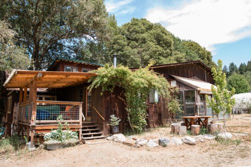 A rustic wooden house surrounded by trees, featuring a porch with greenery and a picnic table in the yard.