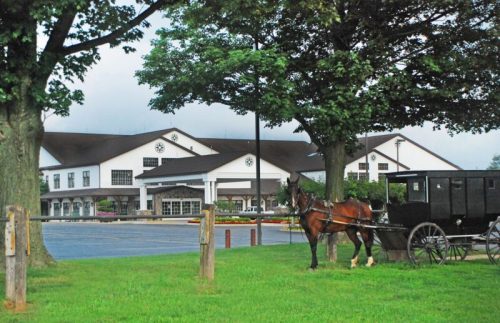 A horse tied to a post in front of a large building, surrounded by trees and a grassy area.
