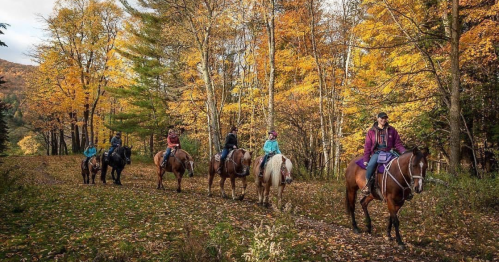 A group of riders on horseback trail through a colorful autumn forest with fallen leaves.