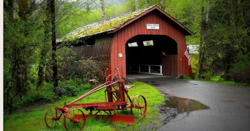 A red covered bridge surrounded by greenery, with an old plow in the foreground and a puddle on the path.