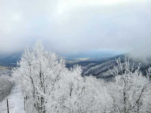 A snowy landscape with frosted trees and misty mountains in the background under a cloudy sky.